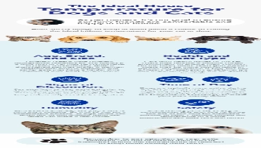 Ideal House Temperature for Dogs and Cats