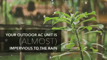 Plant in the rain with text: 