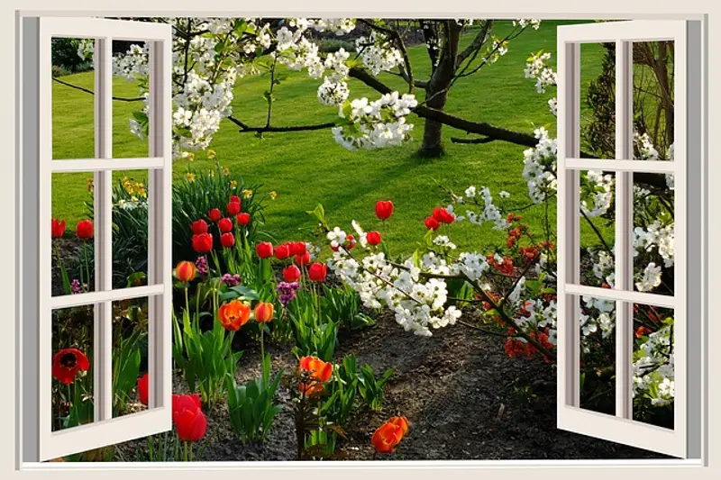 Open window to garden