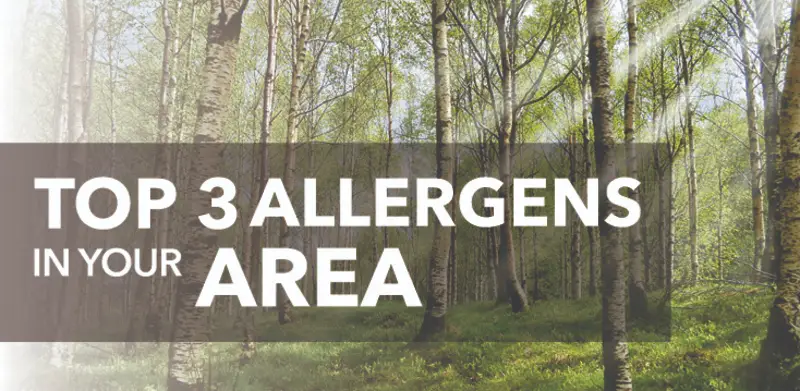 Forrest with text: Top 3 allergens in your area