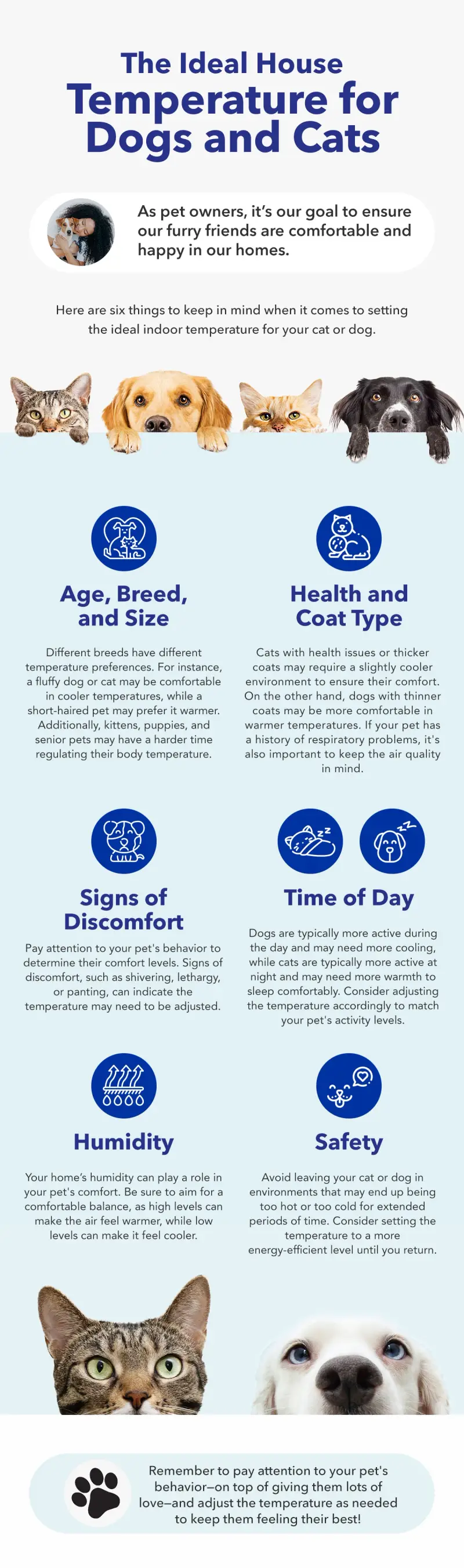 Ideal House Temperature for Dogs and Cats